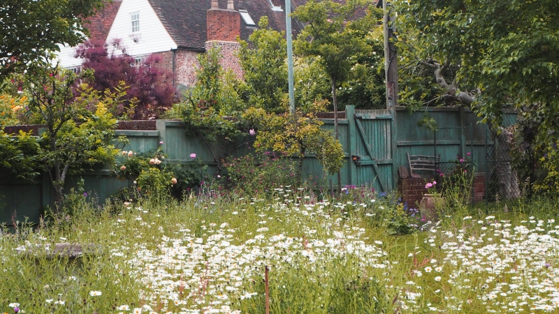 Faversham Open Gardens